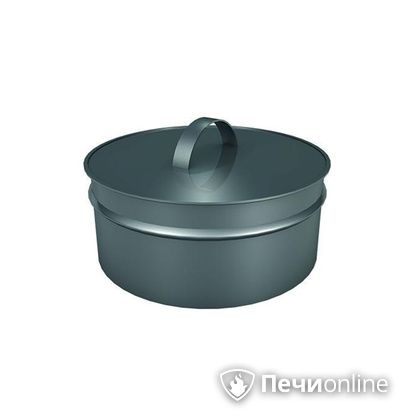 Заглушки Теплов и Сухов Заглушка ревизии Термо-Р 304 0.5 D220(120) в Омске