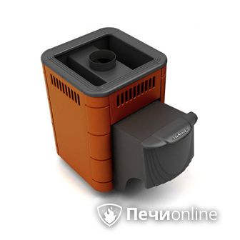 Дровяная банная печь TMF Оса Carbon терракота дверь антрацит в Омске